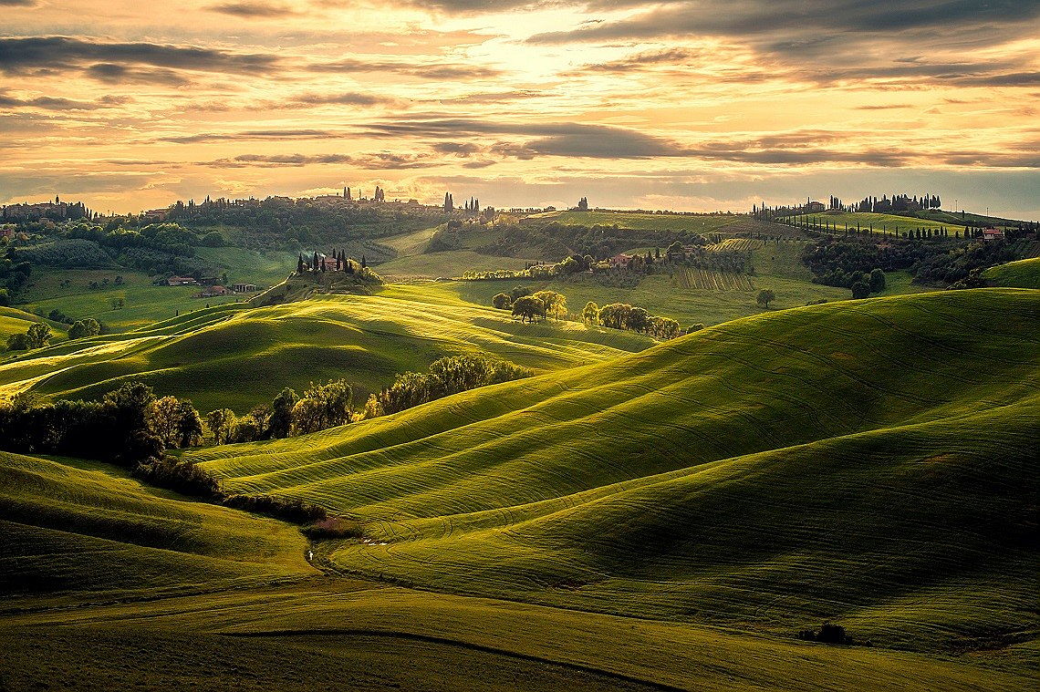  Siena
- crete senesi landscape, green rolling hills, siena, toscana, tuscany, italy