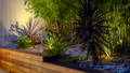 Low level landscape lighting creating depth in outdoor spaces