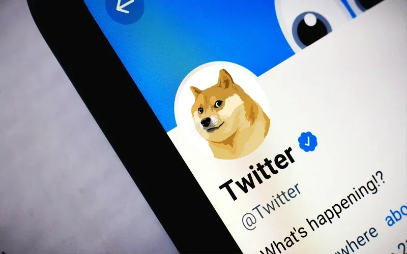 Dogecoin as the Twitter logo