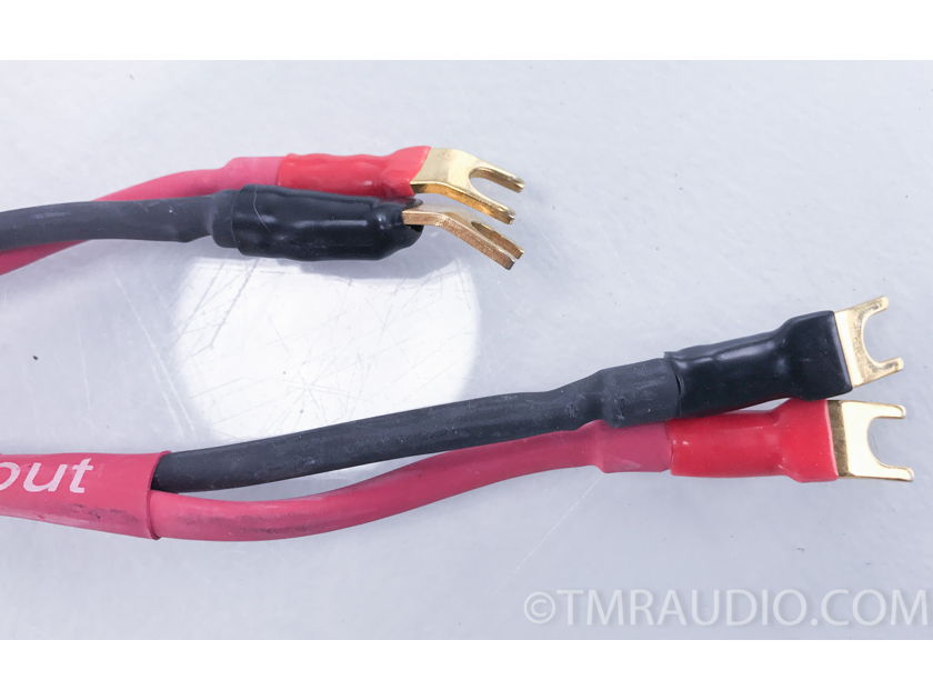 MIT  Terminator 2 Bi Wire Speaker Interface Cables; 10ft Pair (2592)