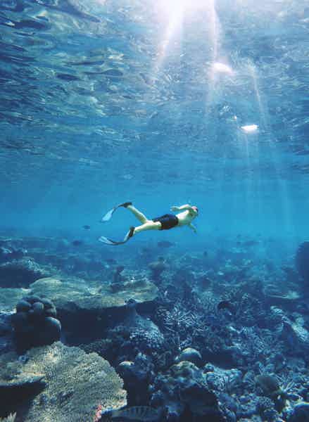 From Dubai: Snorkeling Trip to Fujairan - photo 5