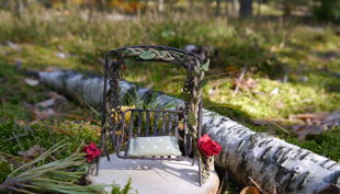 besuch bei den feen diana mirtschink