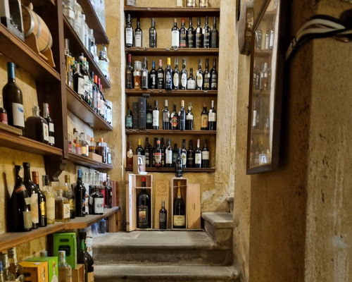 Food & Wine Tours Lucca: Visit to the historic stores of Lucca and then aperitif