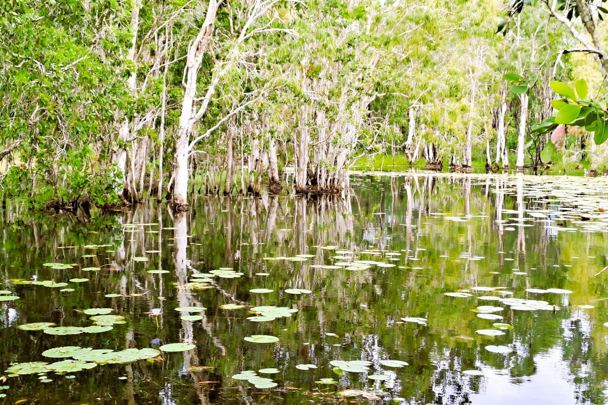 Rossville Retreat Voucher - Image 7