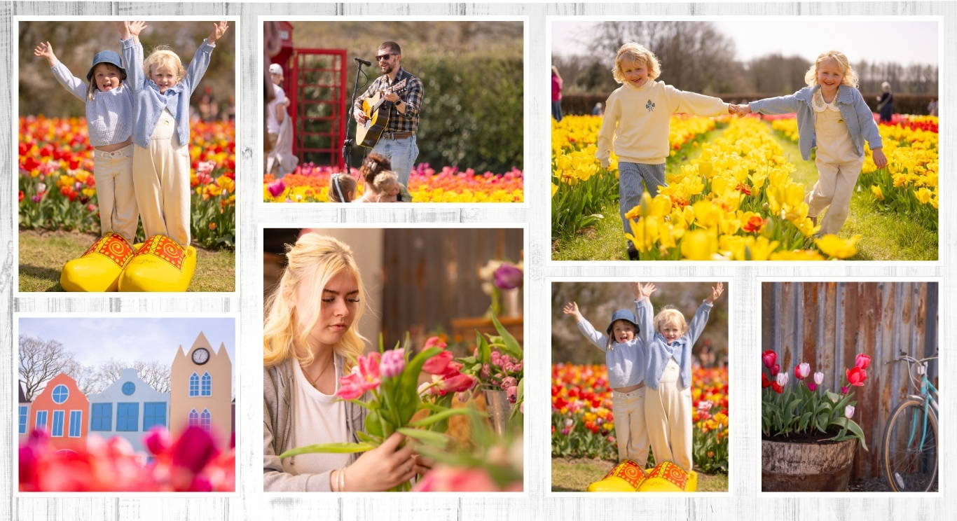 Discover the biggest and best pumpkin festival in Devon & Cornwall, and South West! Pumpkin Fest at Strawberry Fields is the ultimate family day out with a huge pumpkin patch, pumpkin picking, maize maze, barrel train rides, photo spots, tasty autumn treats & fun for all ages. Book now!