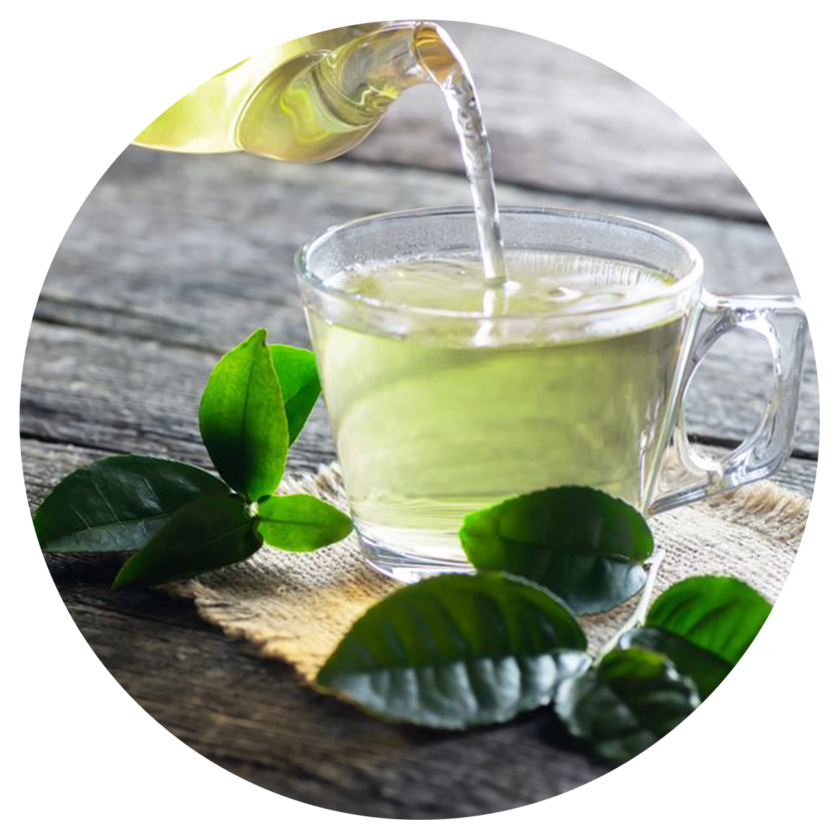 cup of green tea included in the best multivitamins for men whole food blend