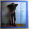 Grover Washington, Jr. - All The King's Horses - SEALED... 2