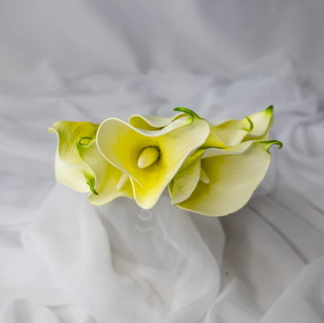 Light Yellow Mini Calla Lily - Realistic Artificial Flowers - Image 2
