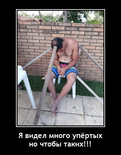 Я видел много упёртых, но чтобы таких!!!