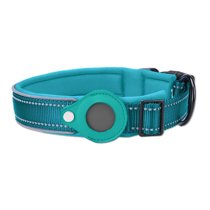 Blue-Green Secure Nylon Dog Collar with Built-in Apple AirTag (not included) Holder Case - Pet Tracker Accessory
