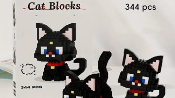 Main Content Image