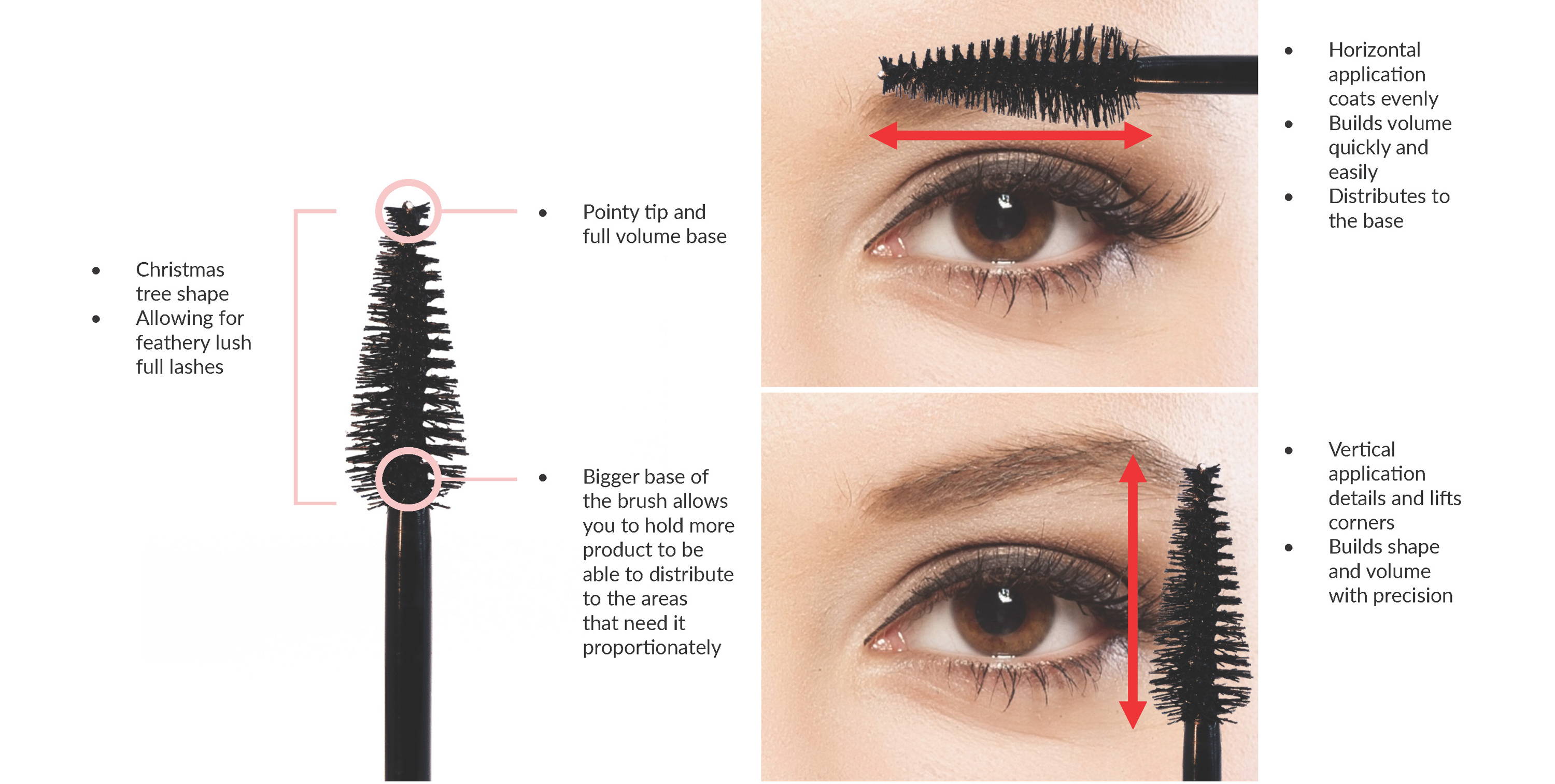 Christmas tree shape brush allows for feathery lush lashes Pointy tip and bigger base allows you to hold more product to be able to distribute to the areas that need it proportionately. Horizontal Application - Coats lashes evenly, builds volume quickly and easily. Helps distributes to the base. Vertical Application - Details and lifts corners. Builds shape and volume with precision. 