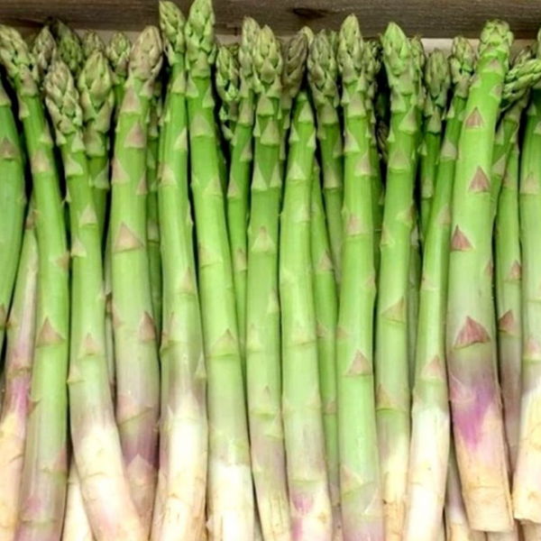 asperge-verte