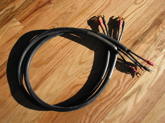 Coincident Speaker Cable CST-1 1.3 meter