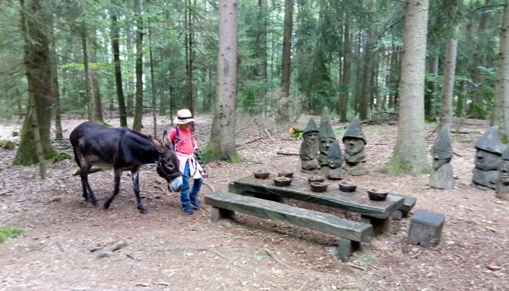 eselhof rötlein esel im wald