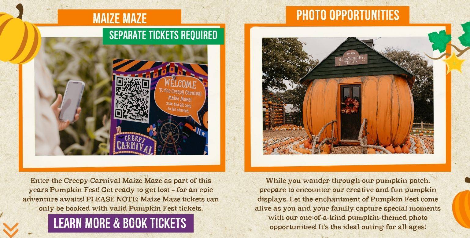 Discover the biggest and best pumpkin festival in Devon & Cornwall, and South West! Pumpkin Fest at Strawberry Fields is the ultimate family day out with a huge pumpkin patch, pumpkin picking, maize maze, barrel train rides, photo spots, tasty autumn treats & fun for all ages. Book now!