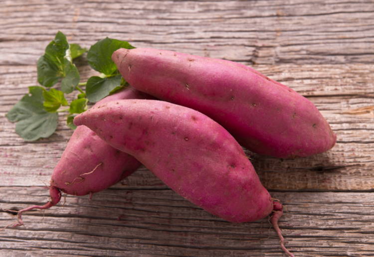 さつまいも 栄養