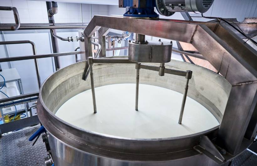 Camel milk pasteurization