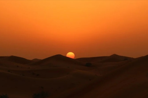 Восход солца в пустыне