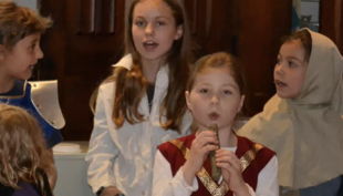 bergedorfer museumslandschaft