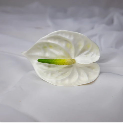 Anthurium Small Red - Realistic Artificial Flowers - Image 9