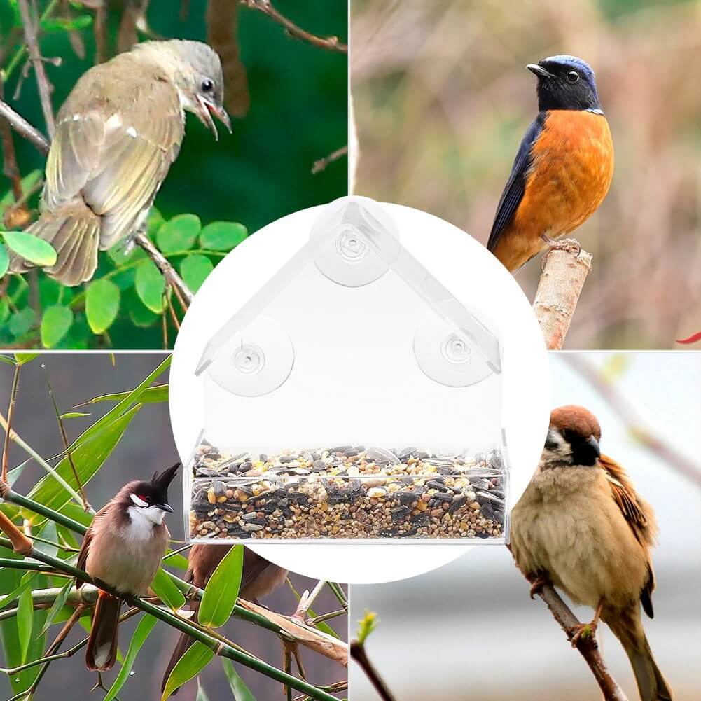 Window Bird Feeder, Bird Feeding Station, Hanging Bird Feeder Stands
