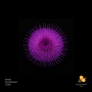 Thistle Honey - عسل الشوكيات