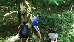 kinder versteckt im grünen