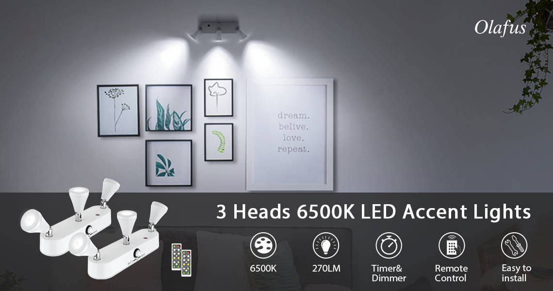 3 Heads 6500K Wireless LED Spotlights 