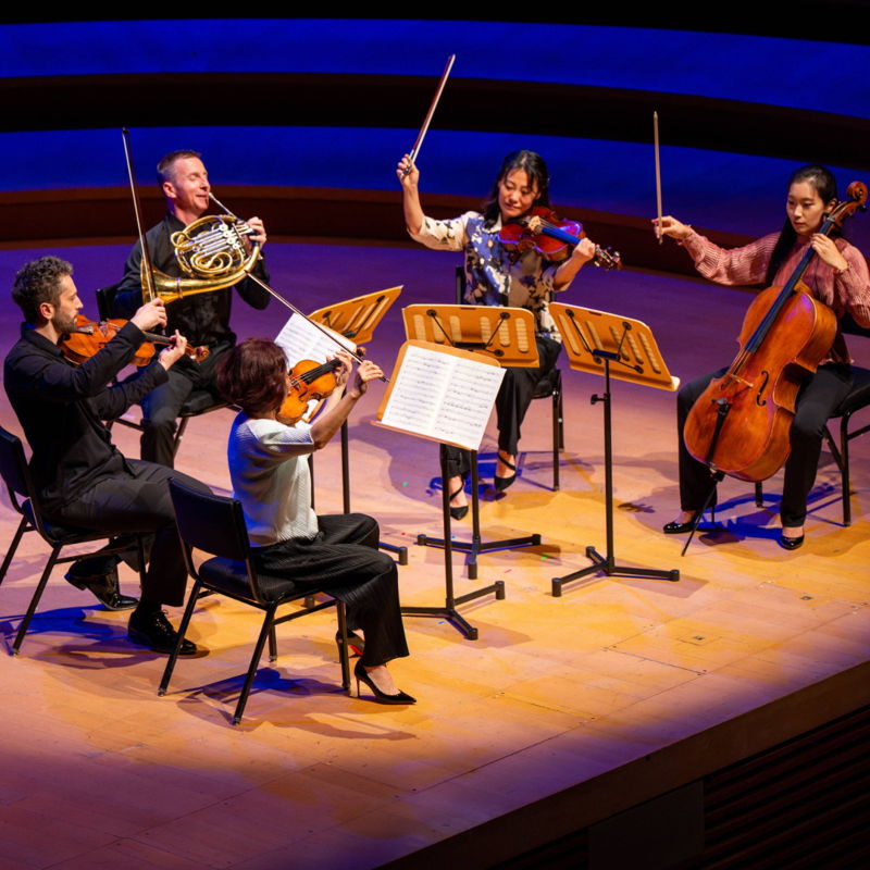 Poster for Chamber Music &amp; Wine