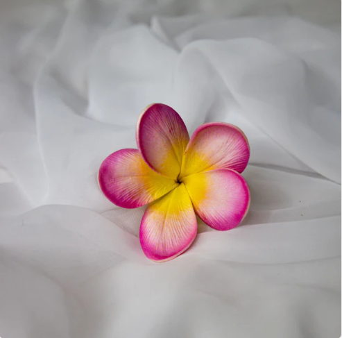 Light Pink Frangipani Flowerhead (6 Pack) - Realistic Artificial Flowers - Image 3