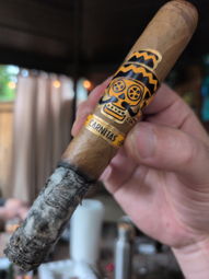 Nice ash