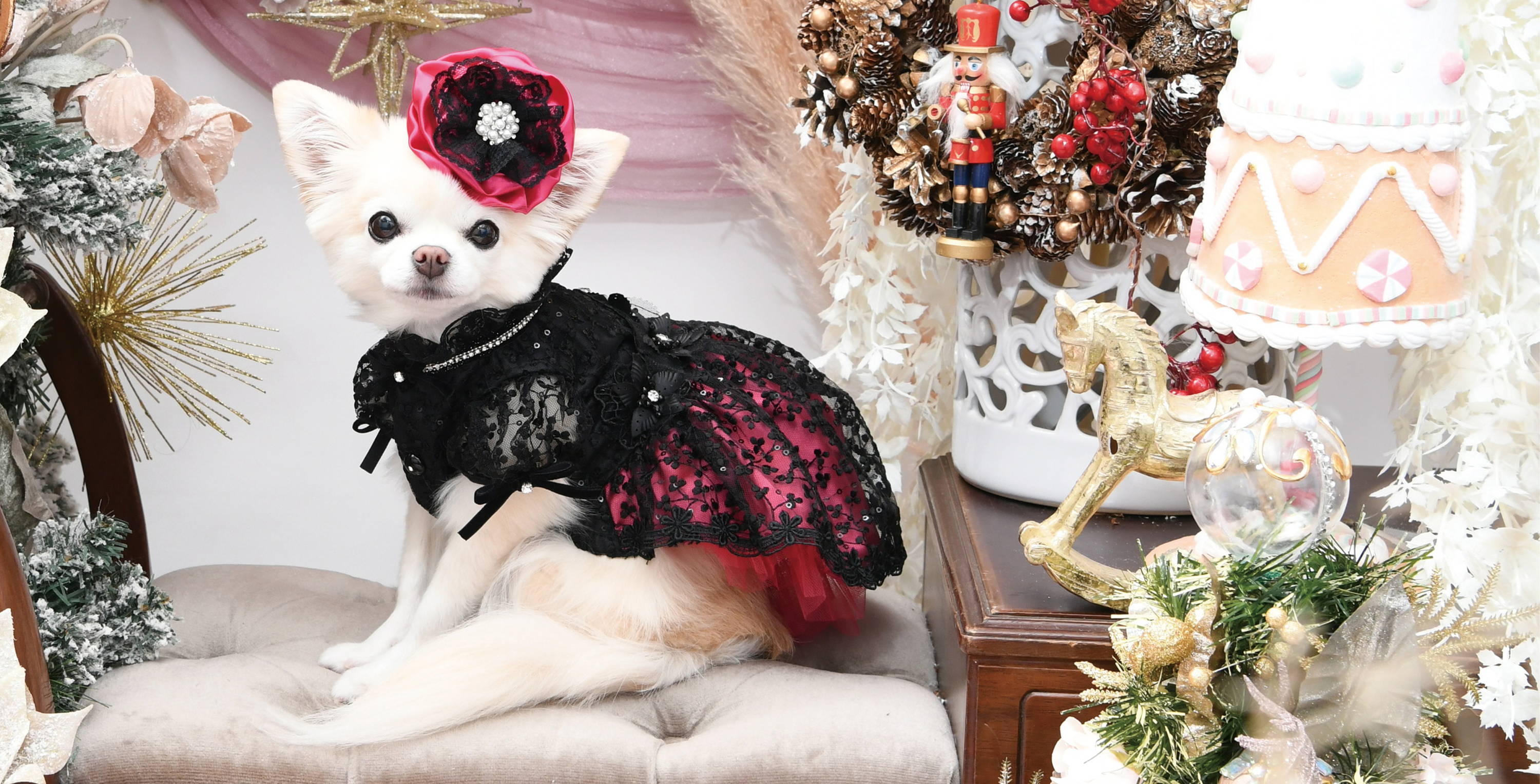 ココリュクスバーディ ハナコバナー.jpg