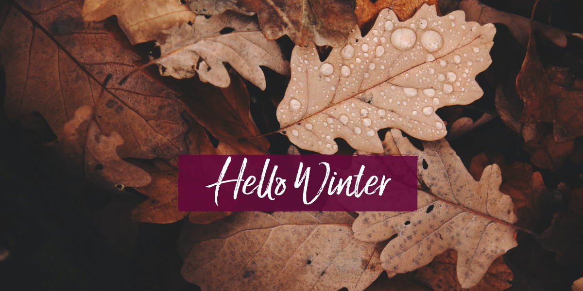 Autumn Leaves with Hello Winter written across them