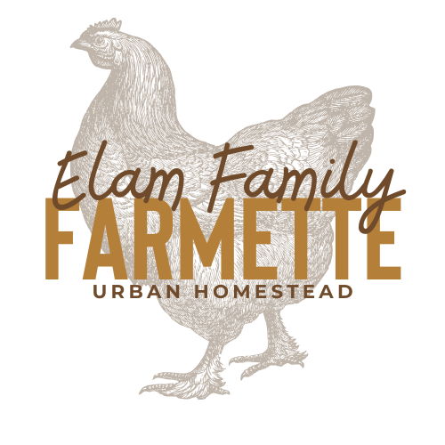 Sydne Elam | Cottage Baker and Urban Homesteader |📍Riverbank, CA — photo from hotplate.com