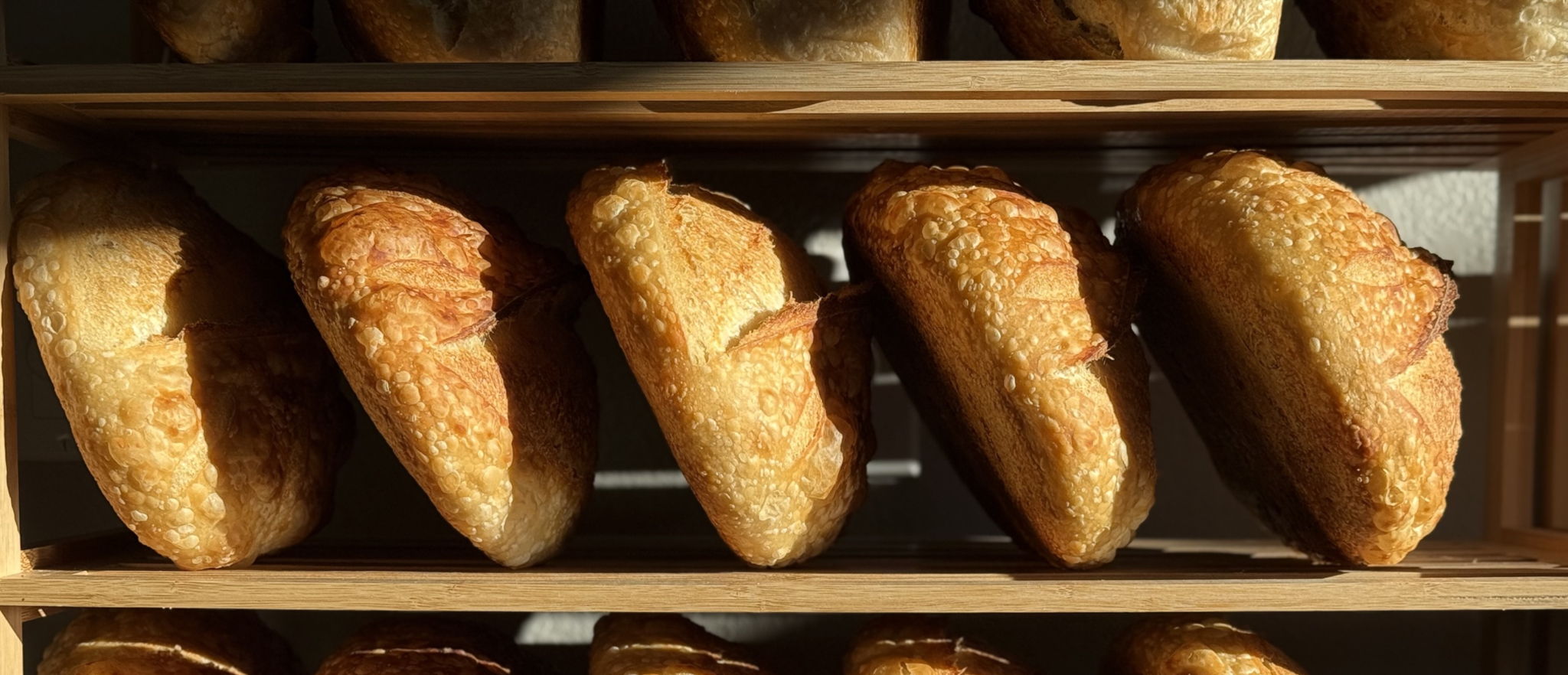 Bodhi Tree Bakery - Taylor Tierney — photo from hotplate.com