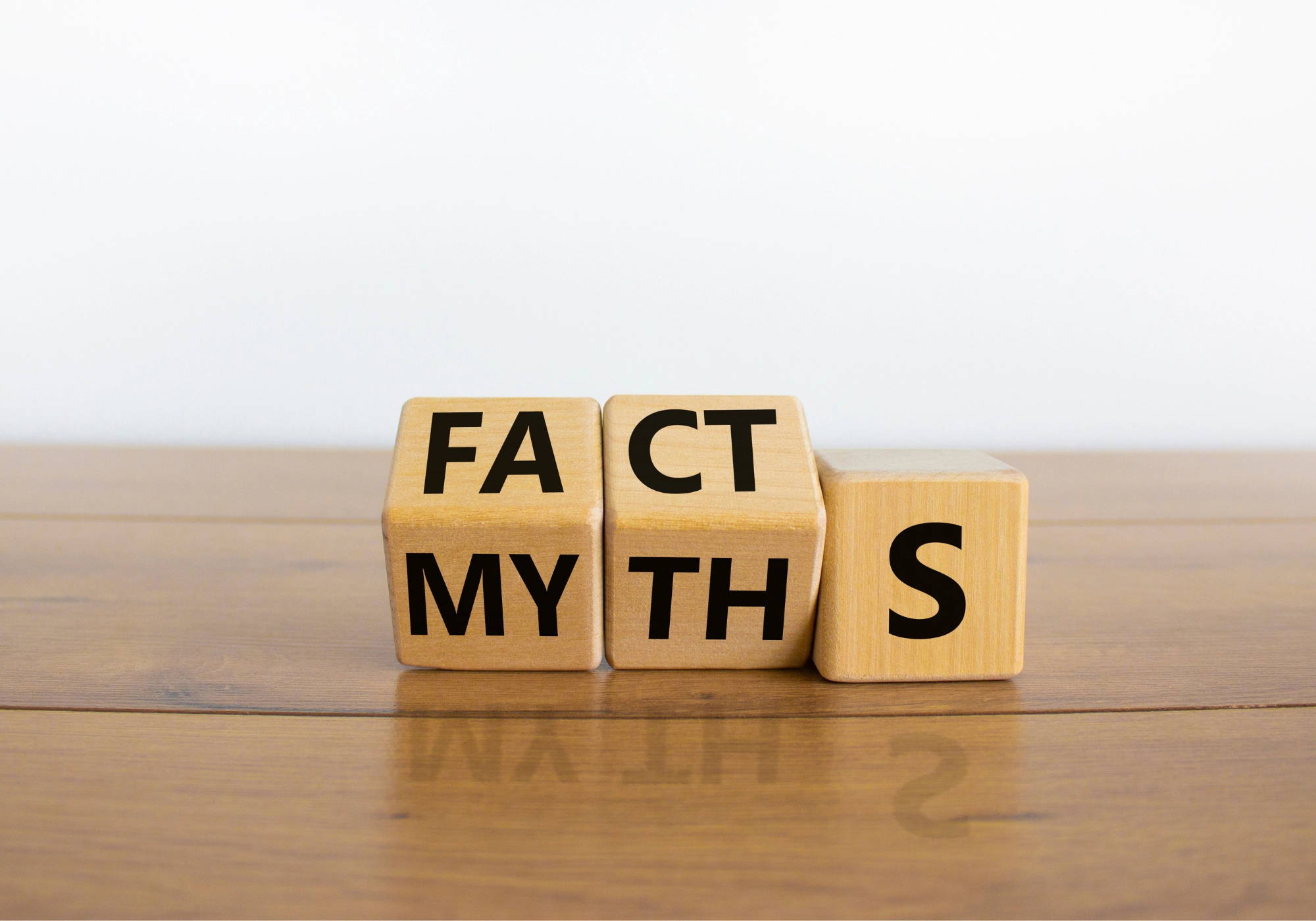 Wooden blocks displaying the words "Fact" and "Myth" to illustrate common bread misconceptions.