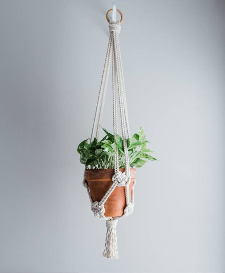 How to Hang a Macrame Plant Hanger
