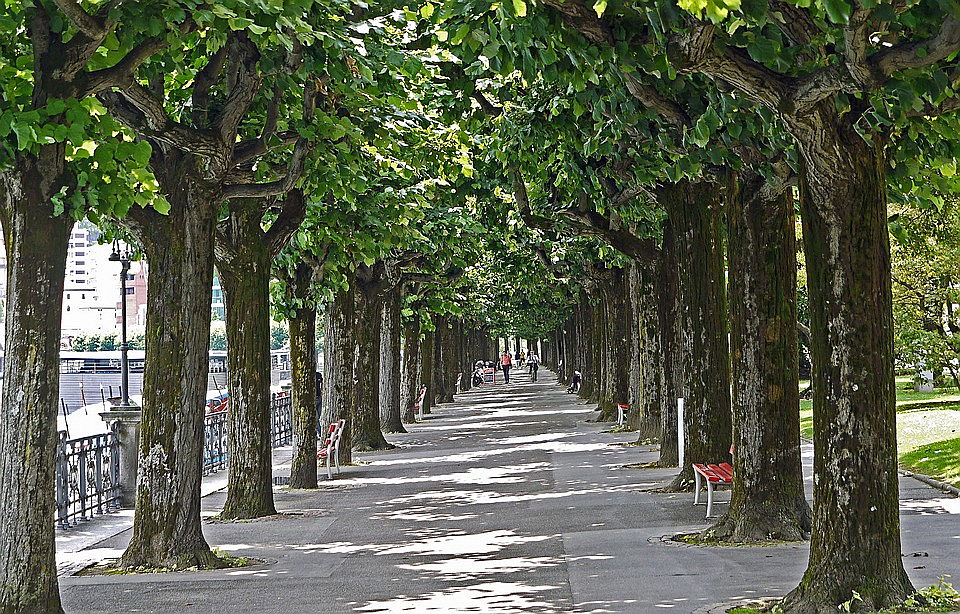  Lugano
- Lungolago