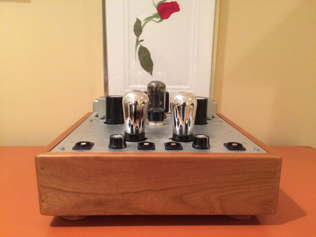 Custom 301A DHT Preamp with Lundahl OPTs