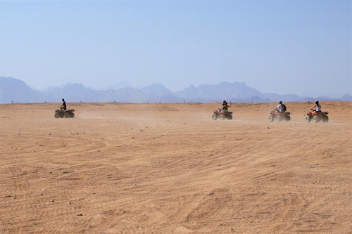 Прогулка на квадроциклах по пустыне