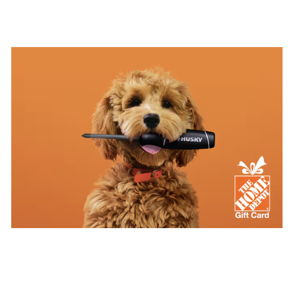 Home Depot Gift Card