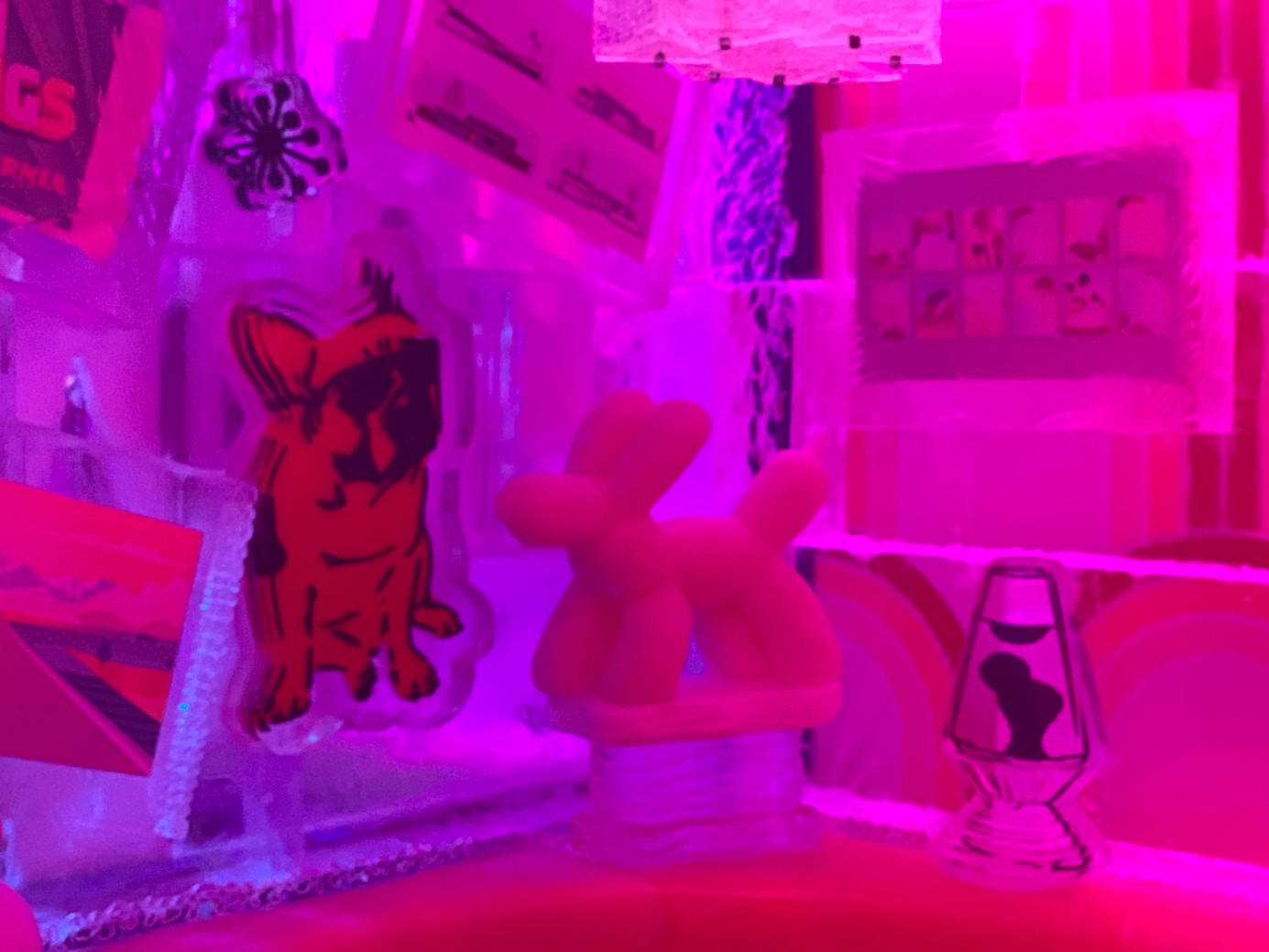 minus5 Ice Experience Uploaded on 2021-12-14