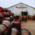 Fûts de whisky en bois mouillés entrposés devant la façade principale de la distillerie Bunnahabhain sur l'île d'Islay dans les Hébrides intérieures d'Ecosse