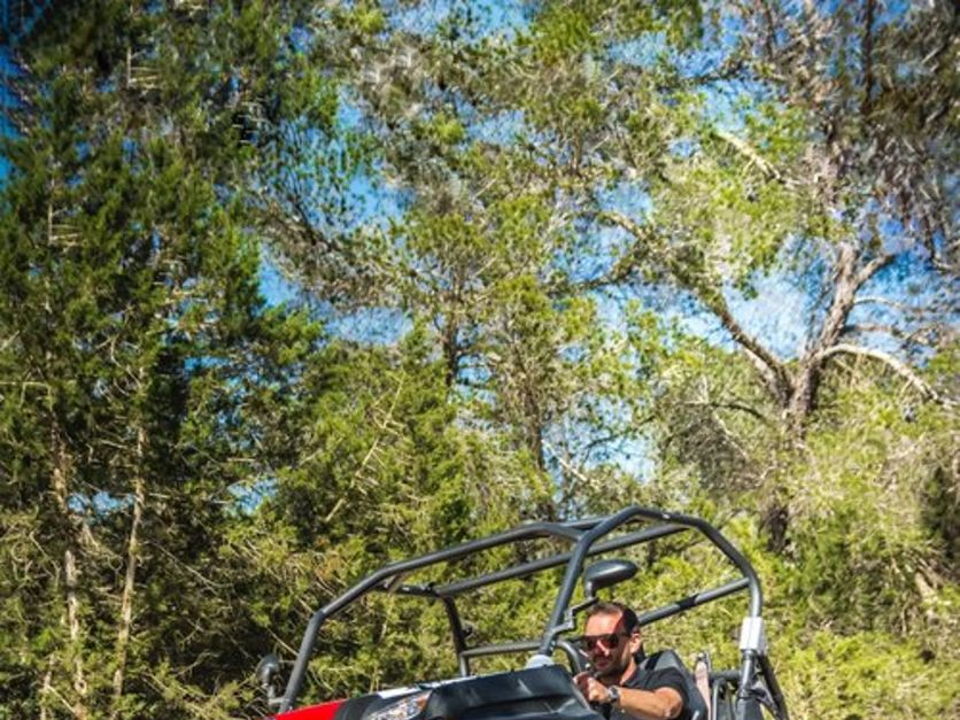 book Buggy ibiza