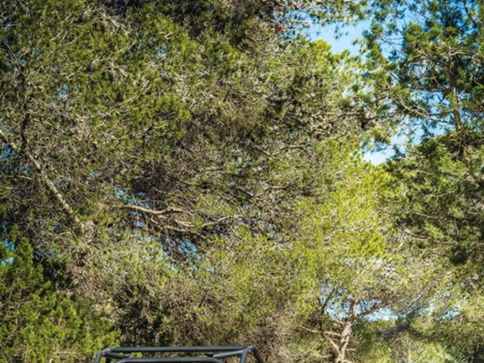 book Big Buggy ibiza