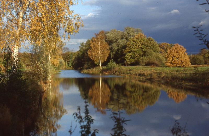 Altrhein
