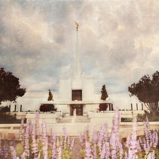 Textured picture of the Denver Temple standing behind lavendar-colored flowers.
