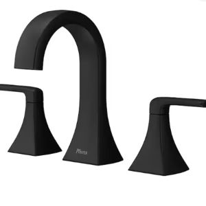 Pfister bathroom faucet (Matte Black)