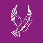 Weybridge Vandals Cricket Club Logo